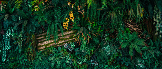 Obraz premium Close up group of background tropical green leaves texture and abstract background. Tropical leaf nature concept.