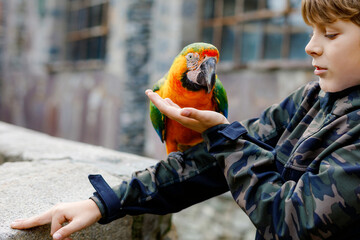 Gorgeous school kid boy feeding parrots in zoological garden. Child with medical mask feed trusting friendly birds in zoo and wildlife park. Children learning about wildlife and parrot. © Irina Schmidt