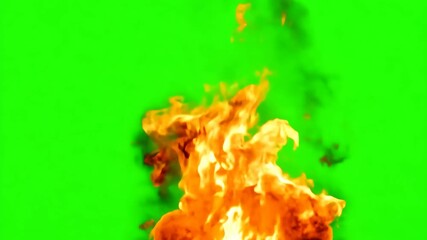 Burning Fire Green Screen Video Footage