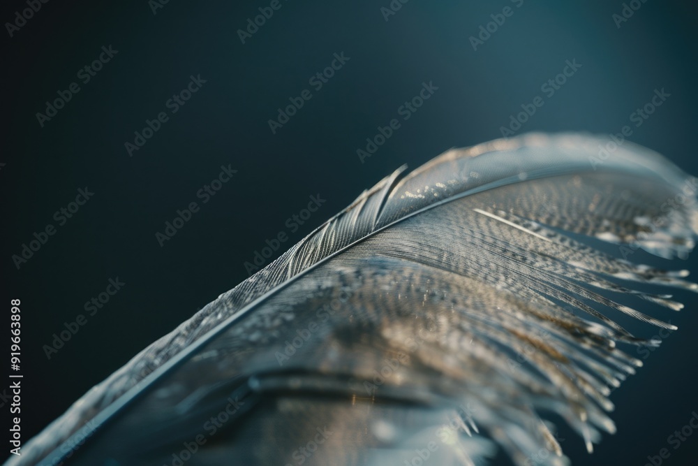 Aufkleber close-up of a single feather with detailed texture. the focus is sharp while the background is blurr