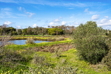 Landscape view of Parque Natural da Ria Formosa near Faro, Portugal