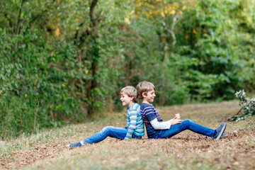 Fototapeta premium Portrait of little school kids boys sitting in forest. Happy children, best friends and siblings having fun on warm sunny day early autumn. Twins and family, nature and active leisure.
