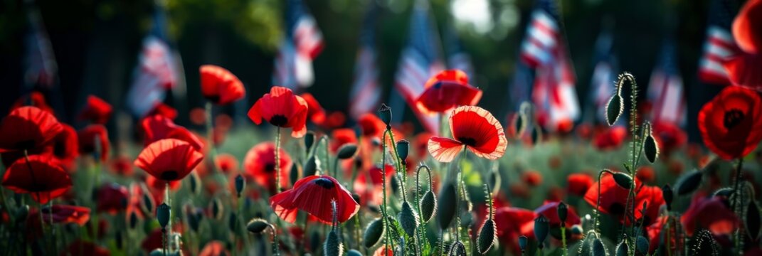 A field of red poppies in full bloom, with American flags blurred in the background. The image evokes patriotism, nature's beauty, and remembrance.