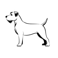 Fototapeta premium line drawing of Glen of Imaal Terrier dog standing gracefully with cheerful expression 