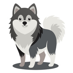 Obraz premium cartoon Finnish Lapphund dog standing, fluffy fur, alert expression 