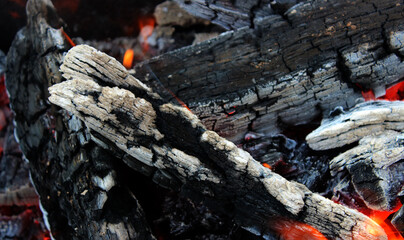 Almost Cooled Embers Of Outdoor Bonfire. Hot Coals Smoldering In Cooled Ashes Stock Image
