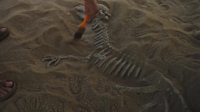 Digging for dinosaur fossils. Curcio district, Simbario town, Vibbo, Italy 08/12/2024. A fun and educational activity, an exciting experience for children, allowing them to learn more about ancient an