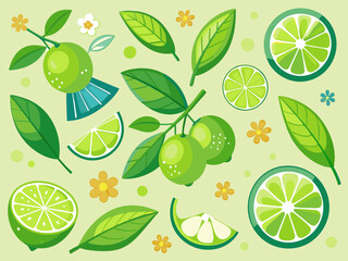 Cartoon limes. Sour lime slices, blossom and leaves on branches. Green citrus fruit seamless texture patterns vector illustration set. Juicy ingredient for drink, lemonade or mojito
