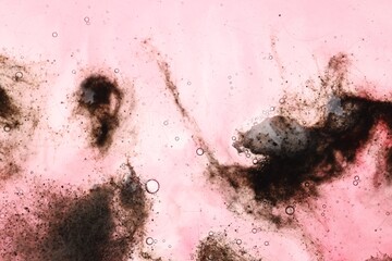 Sample of bacteria culture as background, macro view