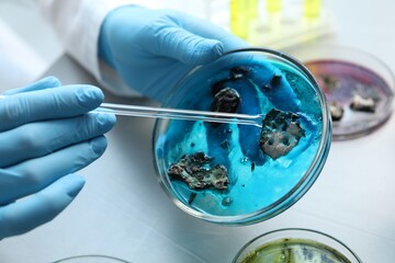 Laboratory worker researching sample in petri dish at light table, closeup