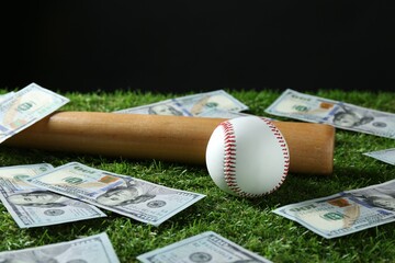 Baseball ball, bat and dollar banknotes on green grass