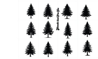 Fototapeta premium black silhouette pine tree, white background