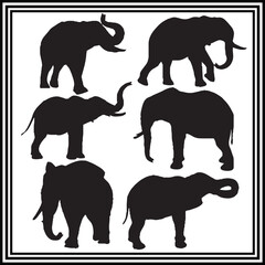 Elephant silhouette vector set ,wildlife animal illustration.