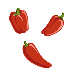 vector drawing vegetable, red bell peppers isolated at white background, hand drawn illustration