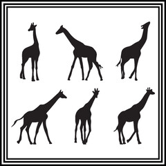 Giraffe vector silhouette set , wildlife animal illustration.