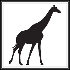Giraffe silhouette vector , wildlife animal illustration.