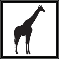 Giraffe silhouette vector , wildlife animal illustration.