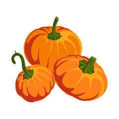 vector drawing vegetable, orange pumpkins at green grass, thanksgiving day element isolated at white background, hand drawn illustration