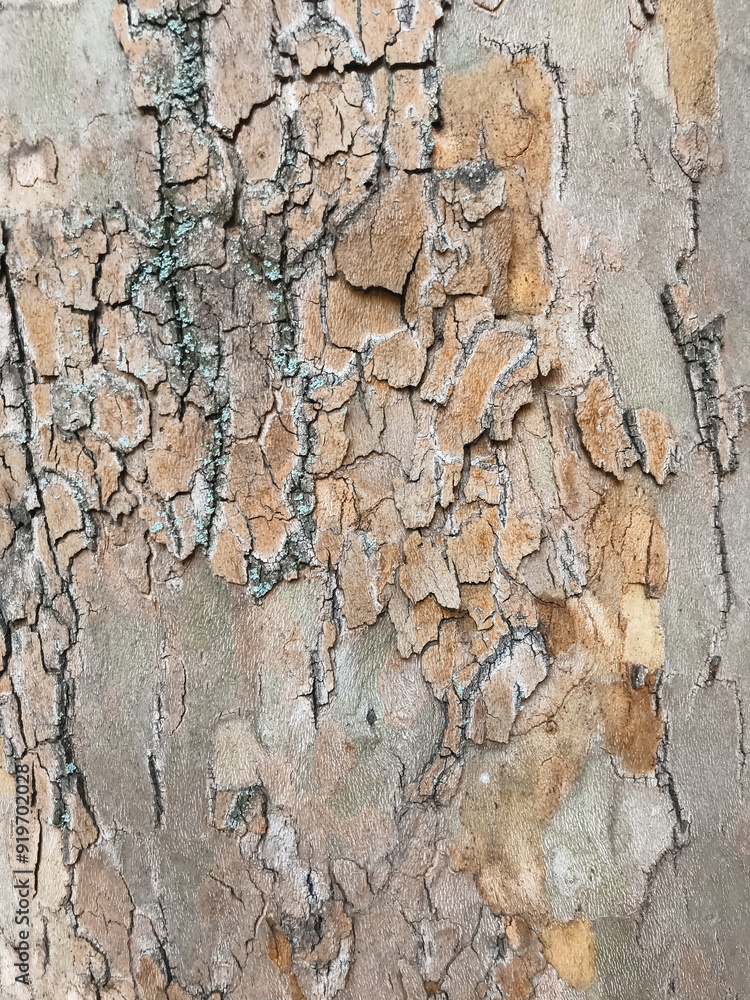 Poster the bark of a tree is covered in moss and has a rough texture