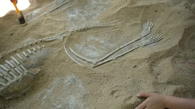 Digging for dinosaur fossils. Curcio district, Simbario town, Vibbo, Italy 08/12/2024. A fun and educational activity, an exciting experience for children, allowing them to learn more about ancient an