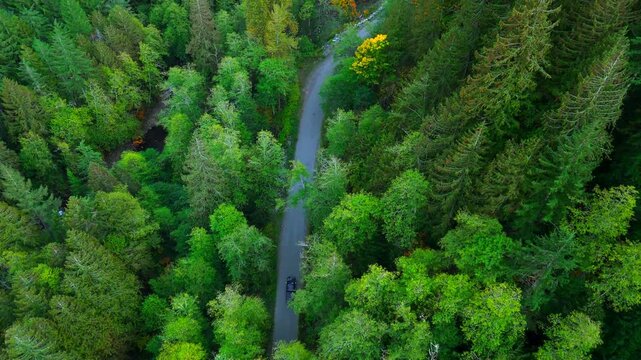 Top down view of car driving along the road among the autumn forest