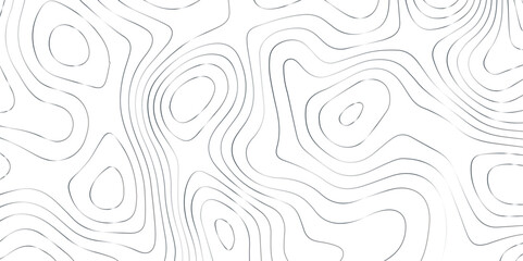 Abstract wave paper curved reliefs background .gradient multicolor wave curve lines banner background design .topographic contours map background .Vector geographic contour map.