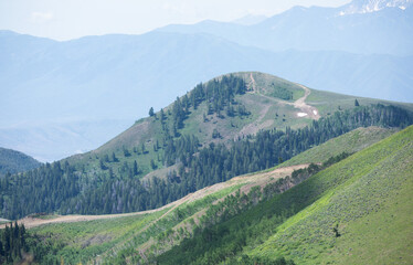 Fototapeta premium Green forest on top of a mountain Park City Utah