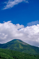 Fototapeta premium 夏の蓼科山 