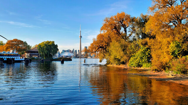 Toronto city skyline from the Toronto Islands during autumn with vibrant fall colors, Ontario, Canada