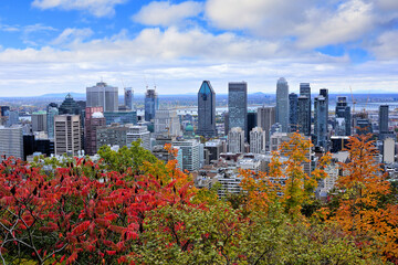 Fototapeta premium View over the skyline of the city of Montreal with fall colors, Quebec, Canada