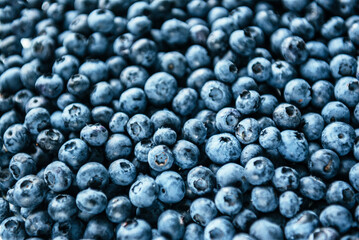 Fresh Organic Blueberries Close Up