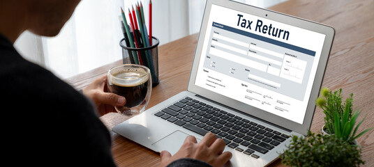 Online tax return form for submitting individual income tax return form snugly on the internet...