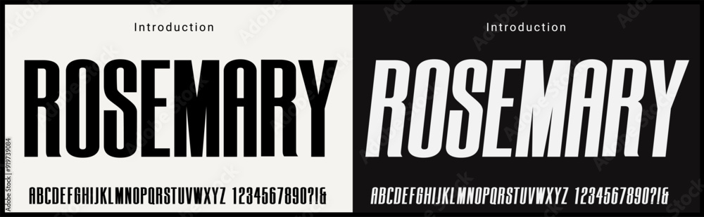 Fototapete condensed vector fonts. alphabet of sans serif font with modern typography. bold and tall vector fon