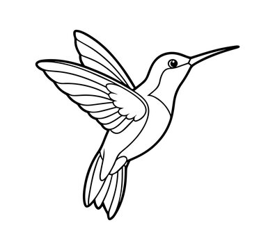 recommend clip art: Line art of a hummingbird