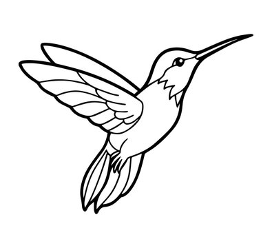 recommend clip art: hummingbird line art vector illustration