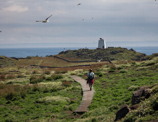 View of the Isle of May, Scotland, with sea birds flying and a person walking on wooden walkway