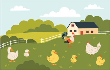 Fototapeta premium Flat vector illustration in children's style. Field and farm landscape, domestic birds, hen rooster duck goose goose chicken duckling goose duckling goose chick. Vector illustration