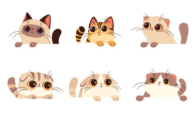 Set of flat vector illustrations on white background. Cute kittens with big eyes look out from behind white banner. . Vector illustration