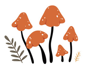 Autumn mushrooms.Forest plants sketches.Hello autumn.