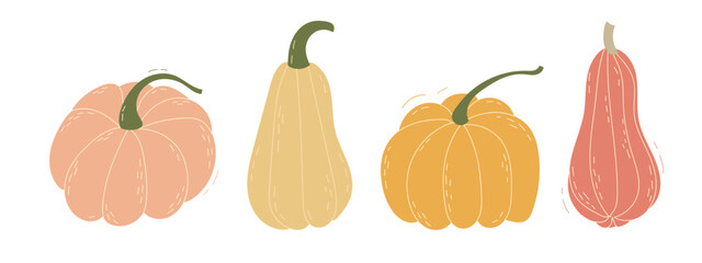 Set of pumpkins in various shapes and colors. Collection of cute hand drawn pumpkins on white background.