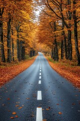 Obraz premium Empty road passing through forest with colorful autumn foliage