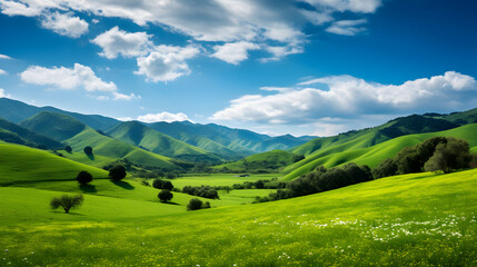 Springtime Serenity: An Exquisite Display of Timberland and Mountains in the Heart of Mother Nature