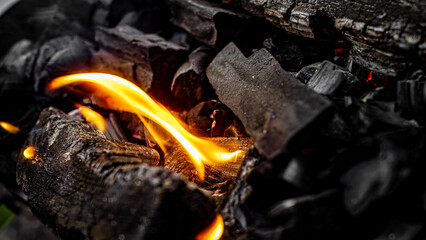 Dynamic Flames and Charcoal Glow A captivating depiction of heat and motion in nature