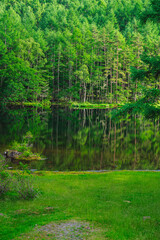 Obraz premium 夏の鮮やかな緑の御射鹿池