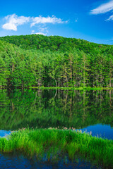 夏空と御射鹿池