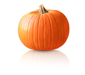 Pumpkin isolated on transparent background with shadow and reflection. Png file