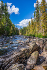 Trees Aolong the Granby River