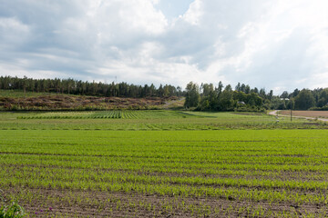 Inkoo Farmlands
