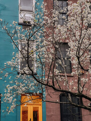 window in the city