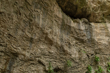 Steep mountain slopes in the gorge, covered with green moss